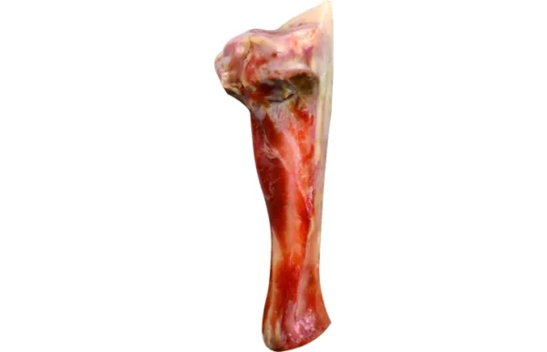 Os Jambon Nature pour chiens