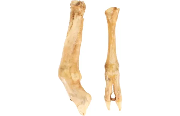 Os Nature Patte de mouton pour chien